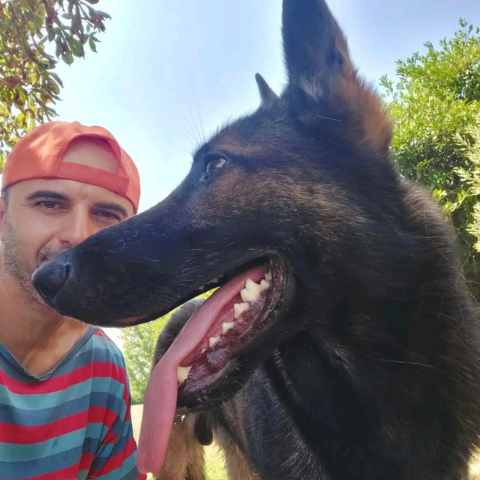 3_Sito Foto_480x480_Vin2 VIN